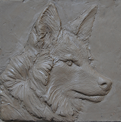 coyote plaque